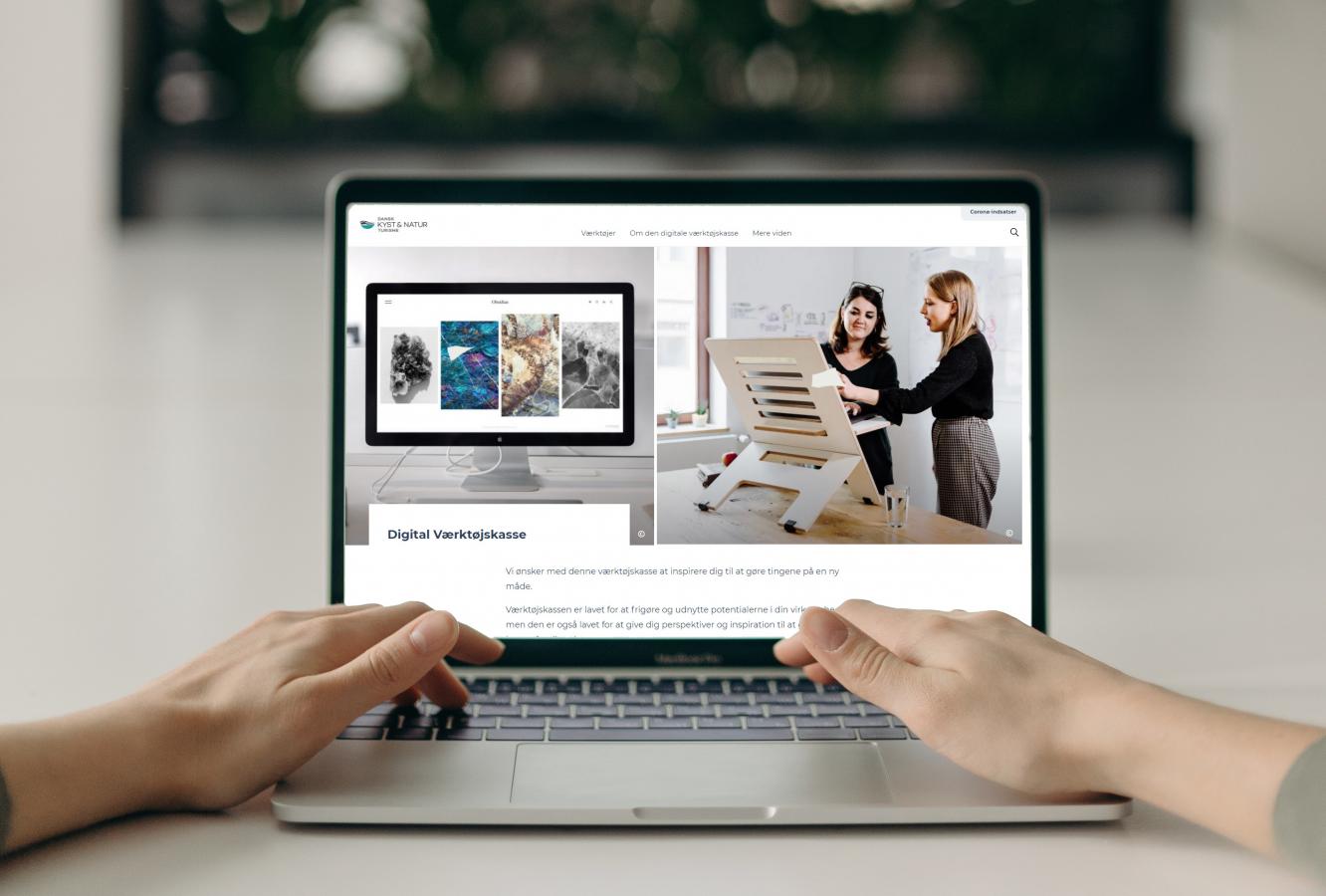 Screenbillede af Den Digitale Værktøjskasse
