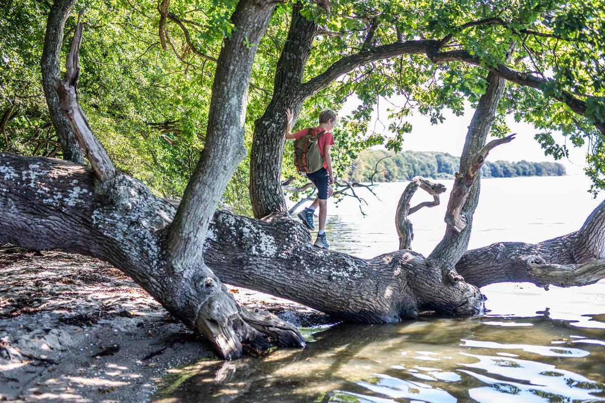 Junge geht auf dem Eisenbahnweg Horsens–Odder