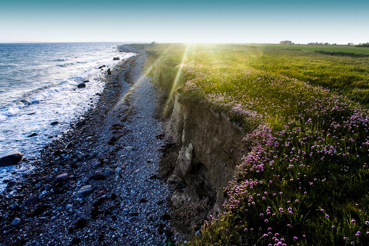 Stranden ved Endelave