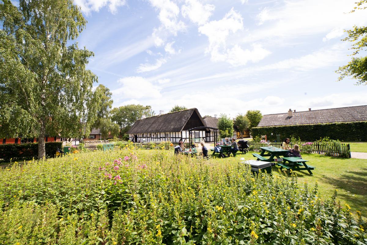 Bord bænkesæt i grønne omgivelser