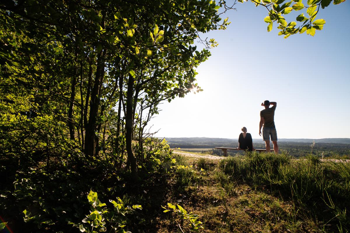 Par har nået sukkertoppen