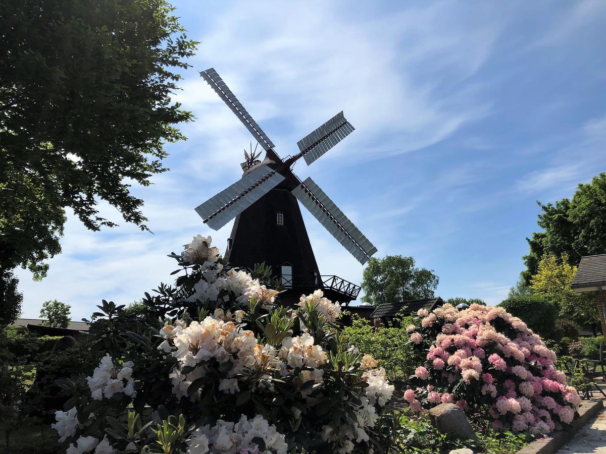 Uldum Mølle Museum ved Uldum Kær