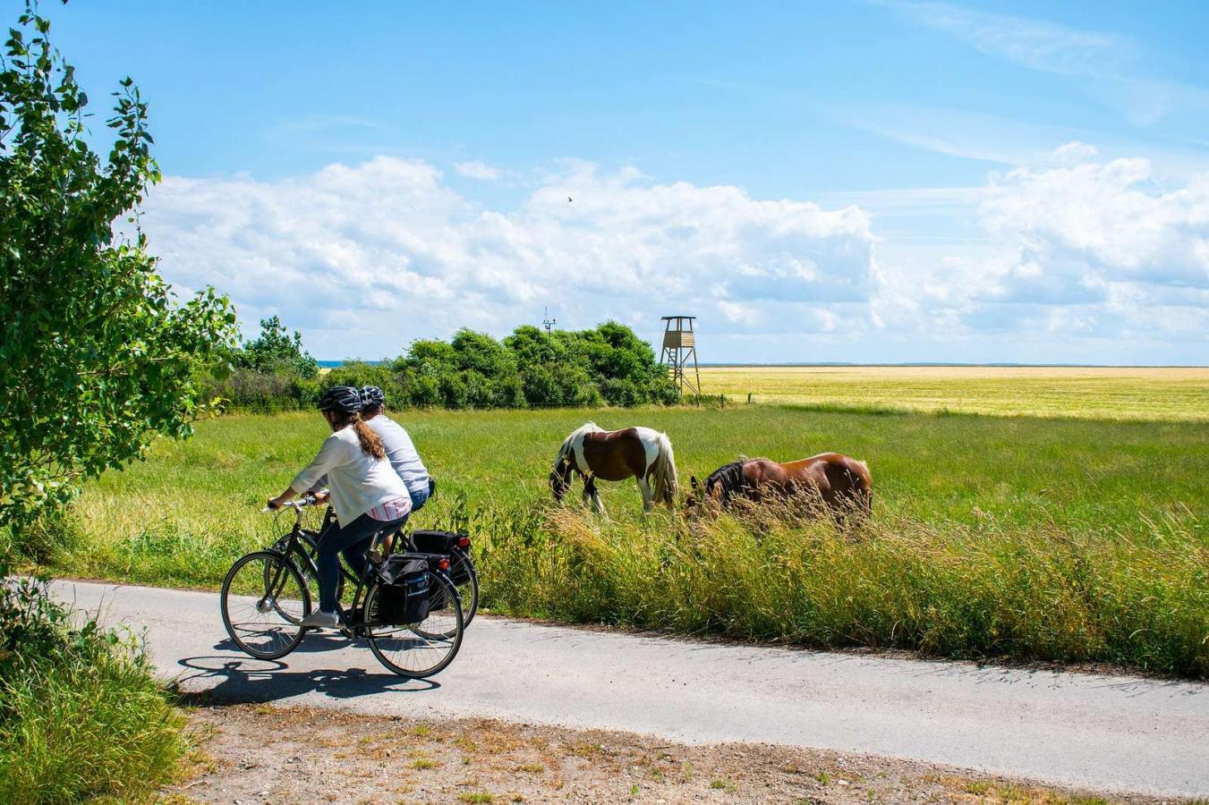 Fahrradurlaub auf der Insel Endelave im Küstenland in Dänemark