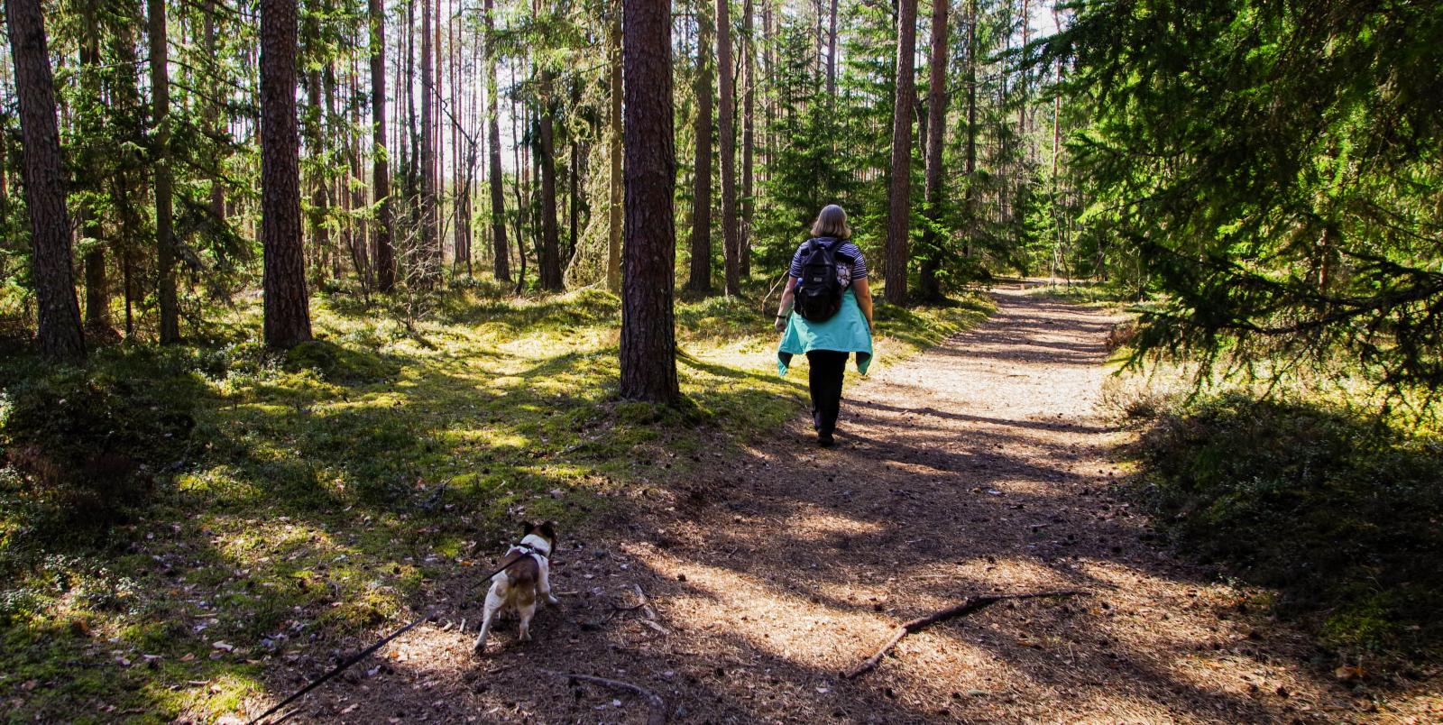 Frau geht mit Hund im Wald spazieren