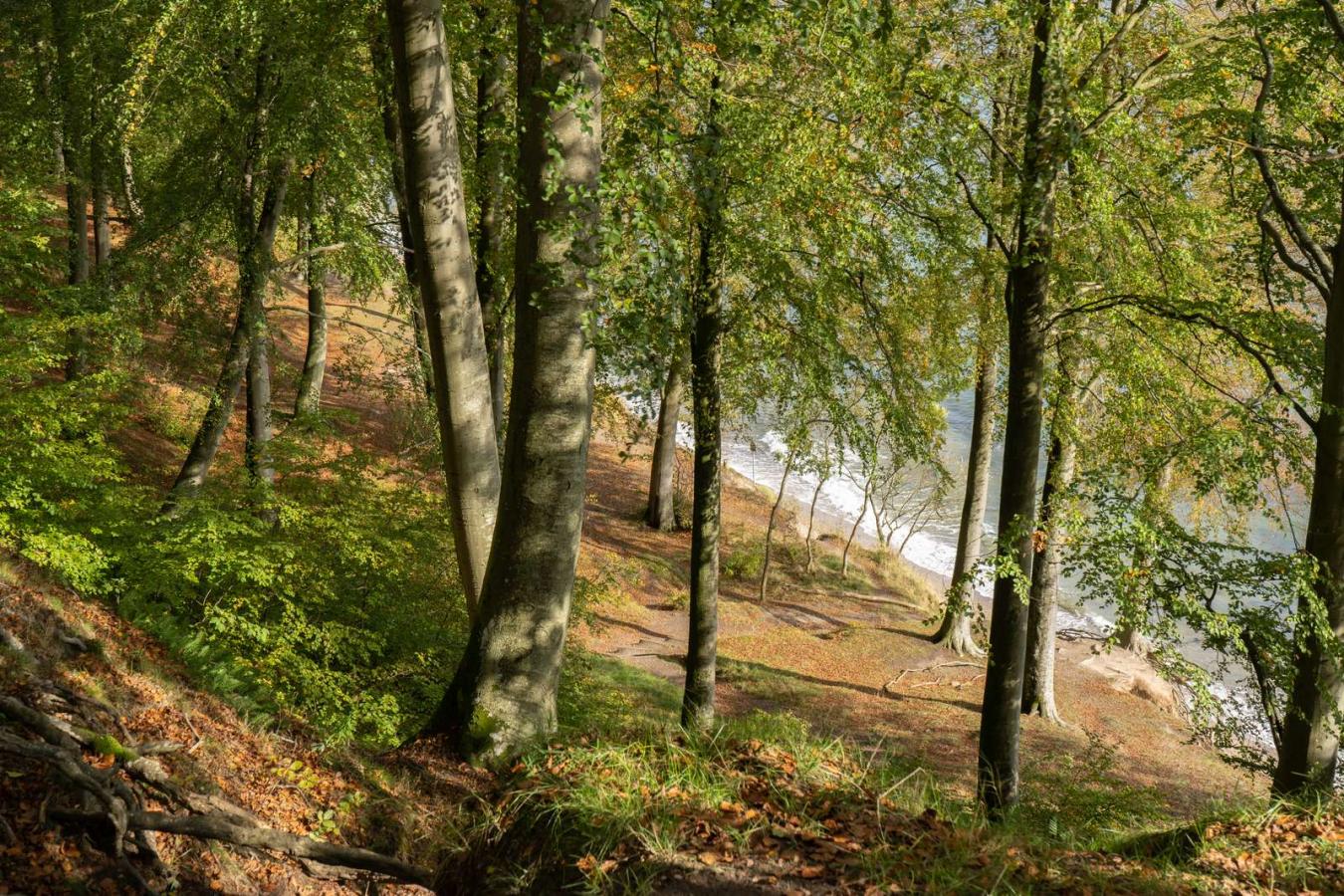Steilhänge im Staksrode Skov