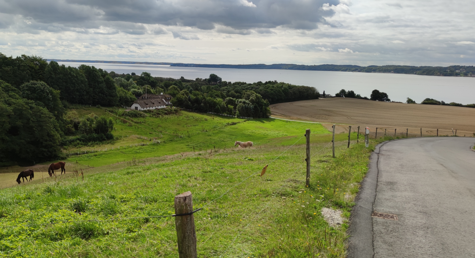 Aussicht über den Vejle Fjord von einem Hügel nahe Daugård Strand