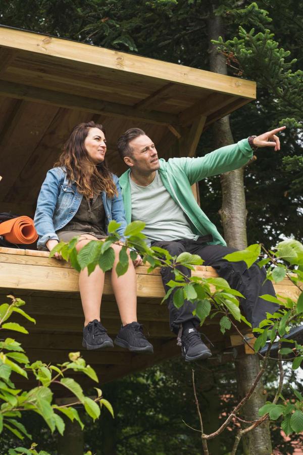 Tree top shelter bei Holmely