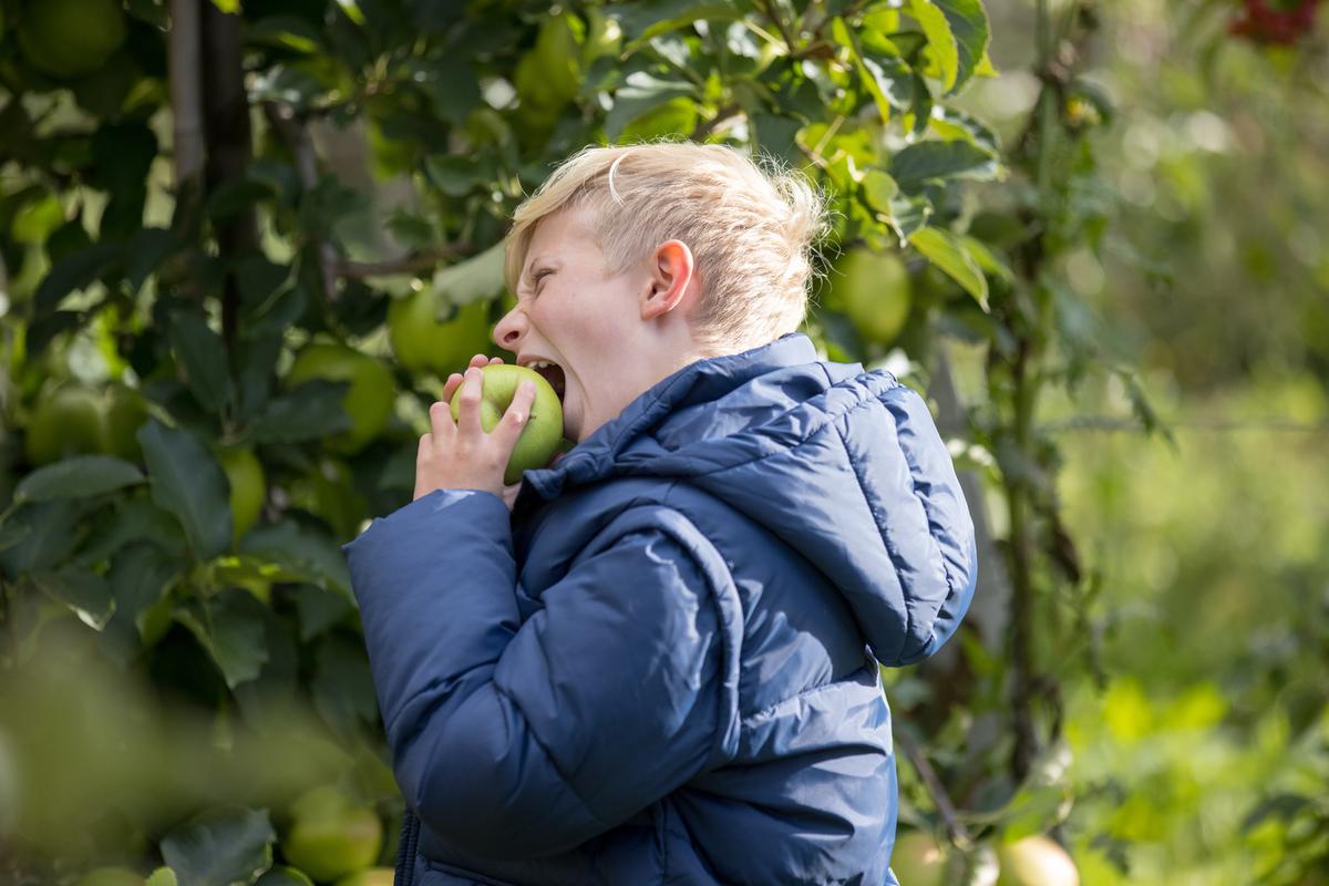 Familieudflugt med selvpluk til Karensminde i Destination Kystlander 