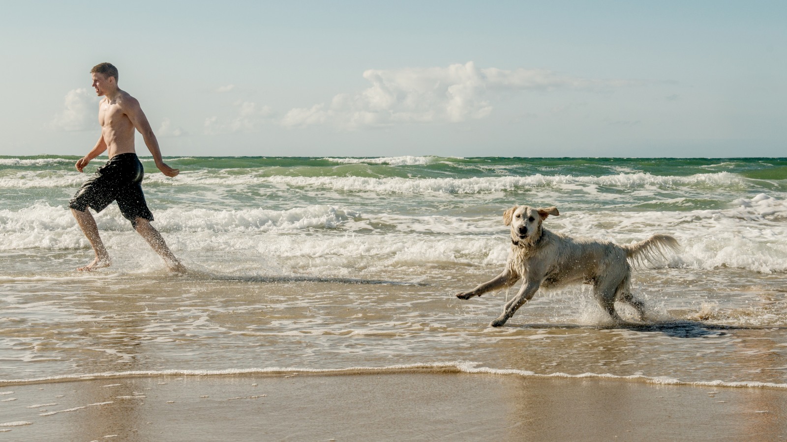 Mand i badeshorts i vandkanten med lys labradoMan in swimming shorts on the water’s edge with light Labrador dogrhund