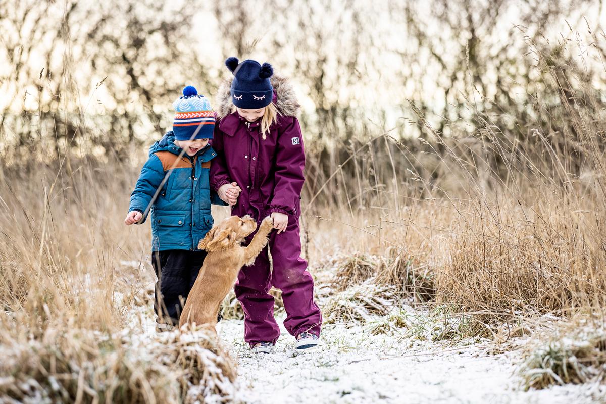 To børn leger med en hund i sne i Kystlandet