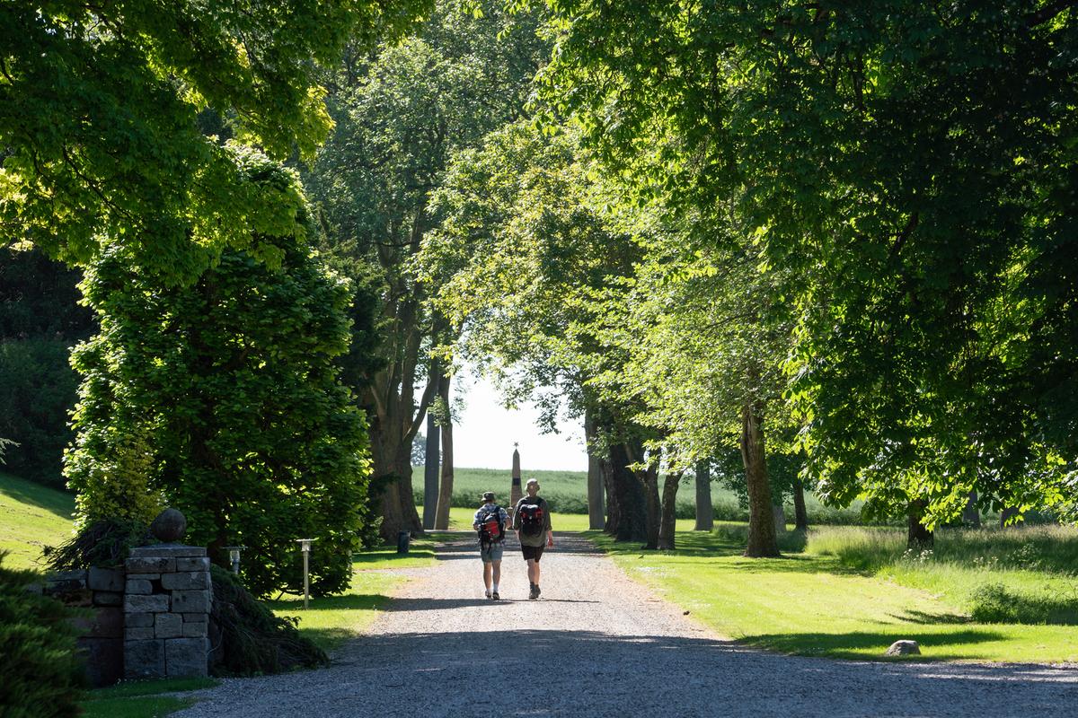 The park at Palsgaard Manor in Juelsminde