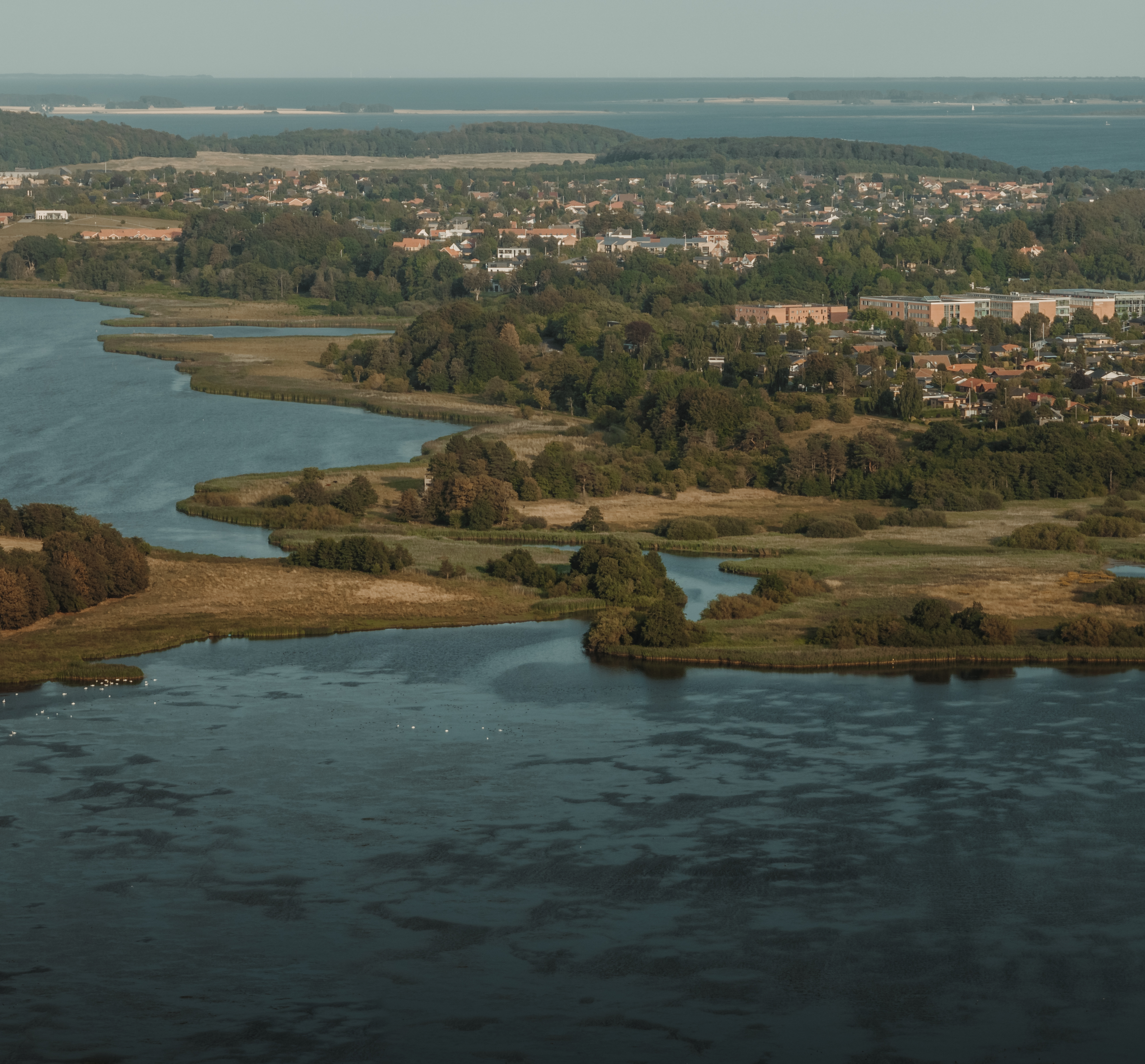 Dronebillede af naturområdet Nørrestrand med Horsens by og fjord i baggrunden