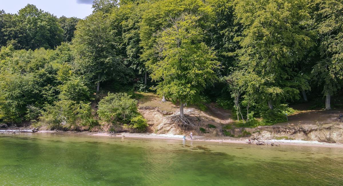 Kystlinjen ved Staksrode Skov