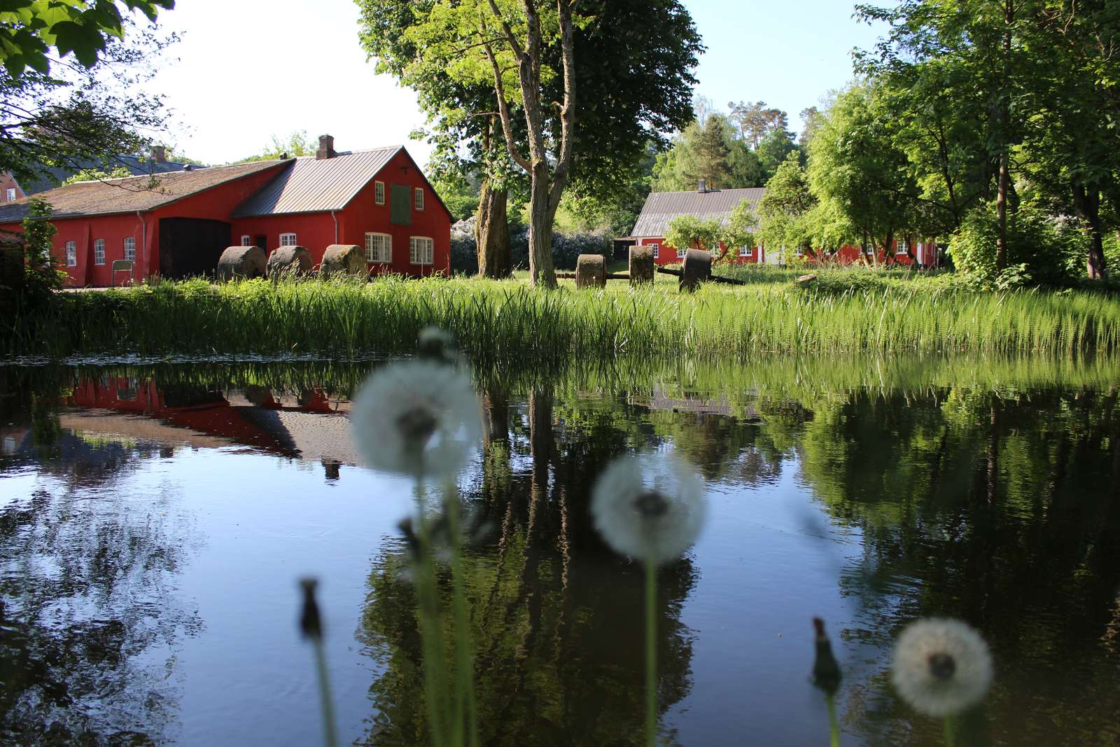 Sommer ved Klostermølle