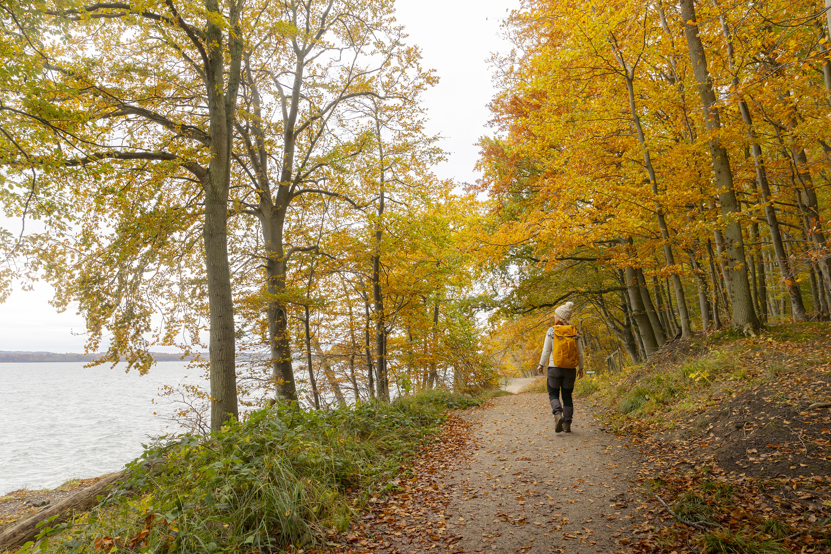 Efterår på Husoddestien langs Horsens Fjord