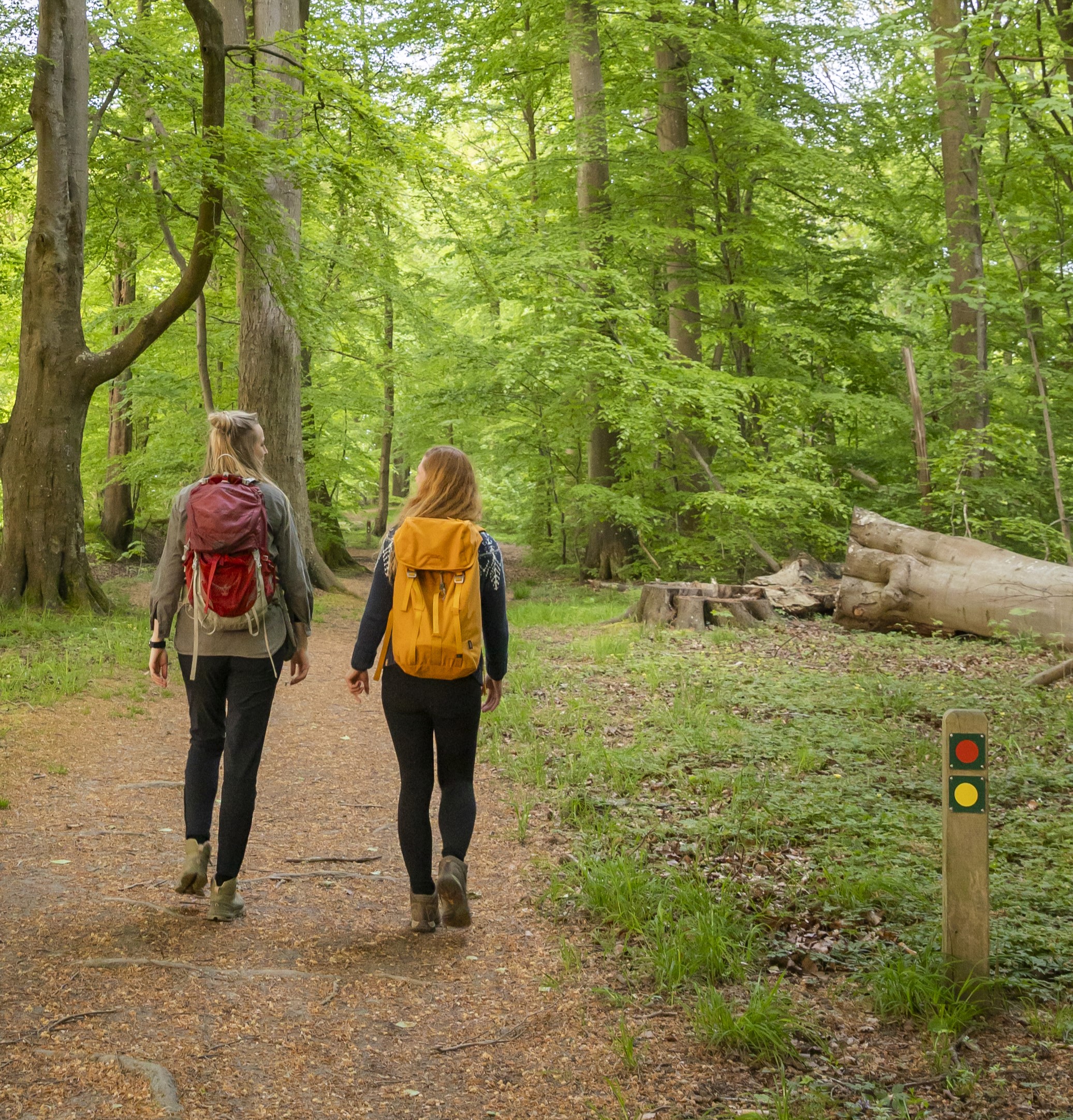 Zwei Frauen gehen durch einen Wald