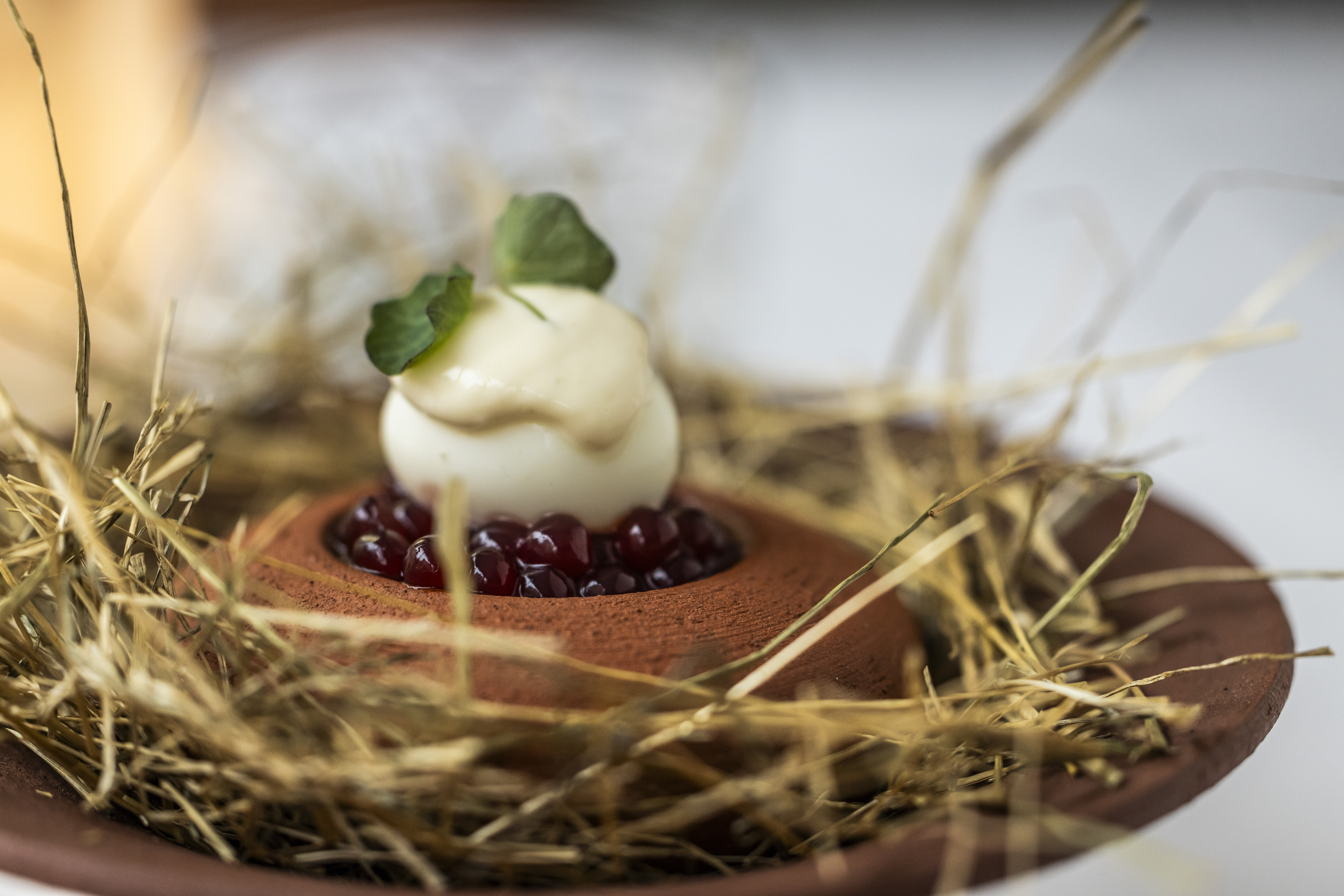 smukt anrettet tallerken med gourmet fra Jimis i Horsens