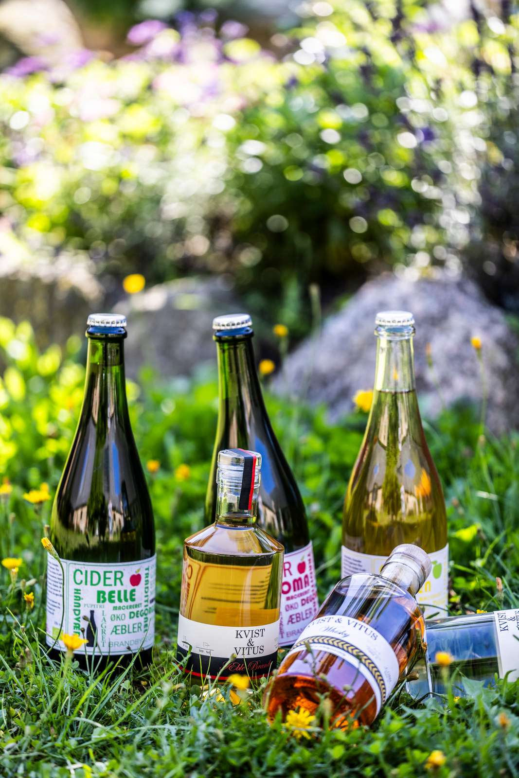 seks flasker med spiritus og vin står i højt grønt græs