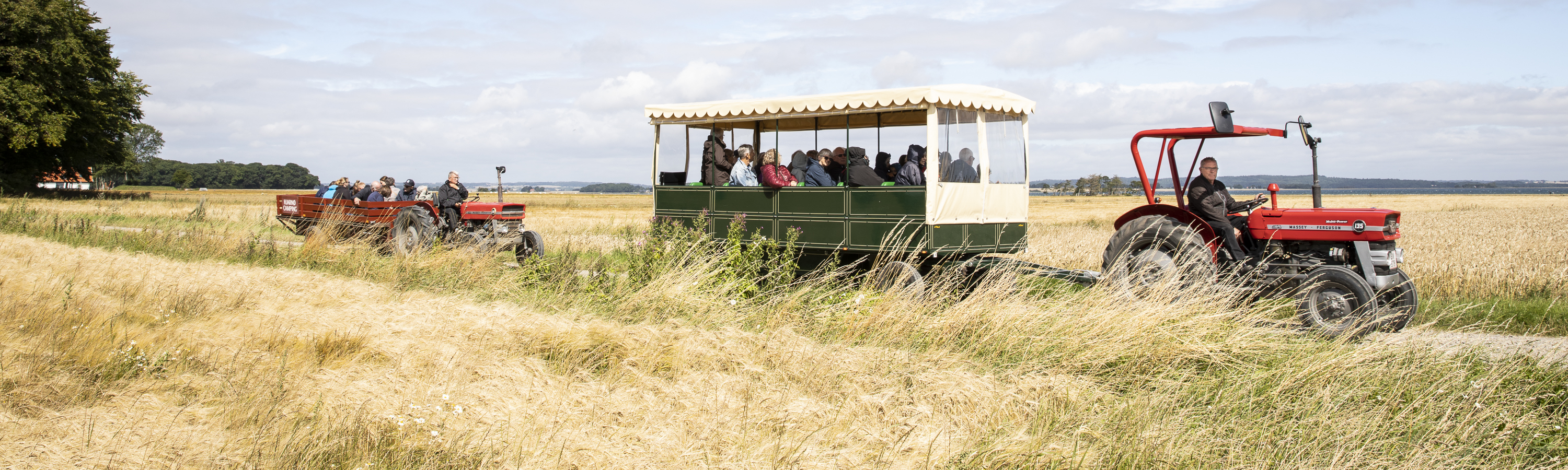 To traktorer kører gæster rundt på Hjarnø i vogne