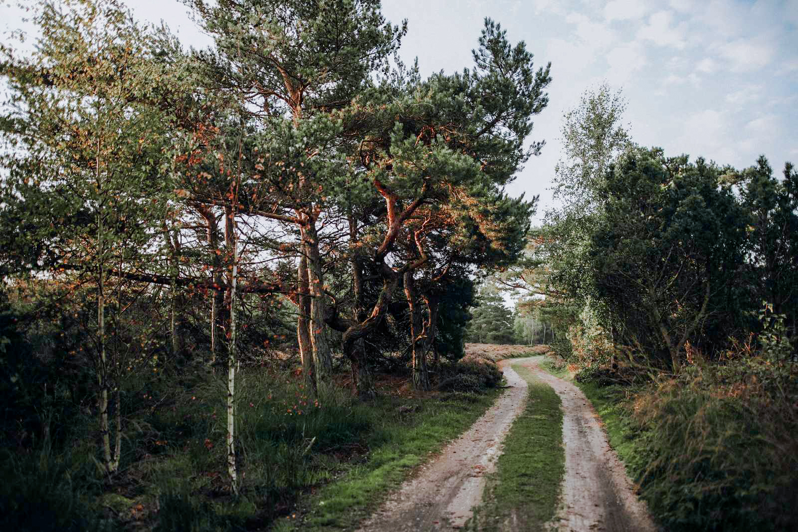 Kaninoen på Endelave