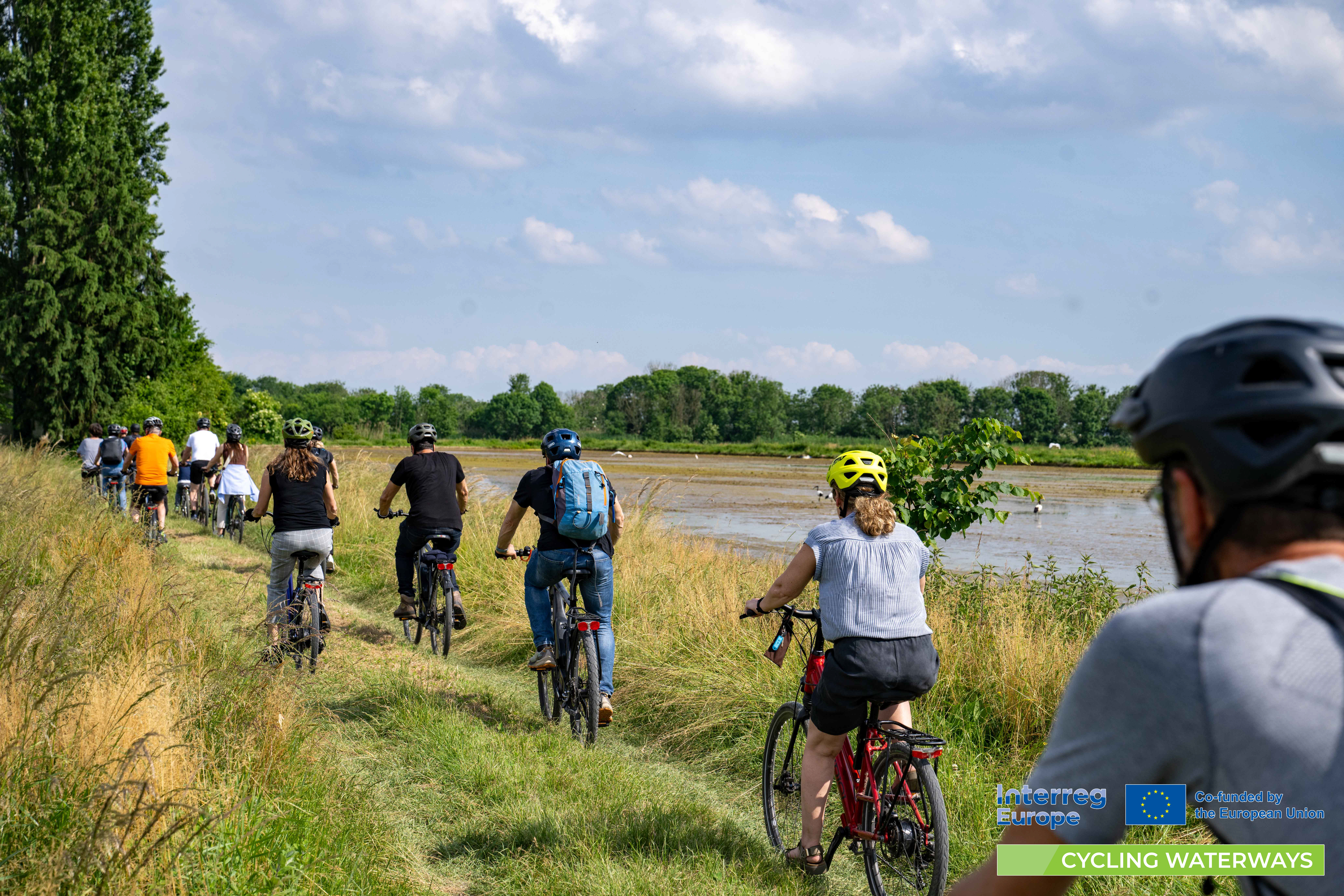 People cycling in a group along a pathway in a ricefield