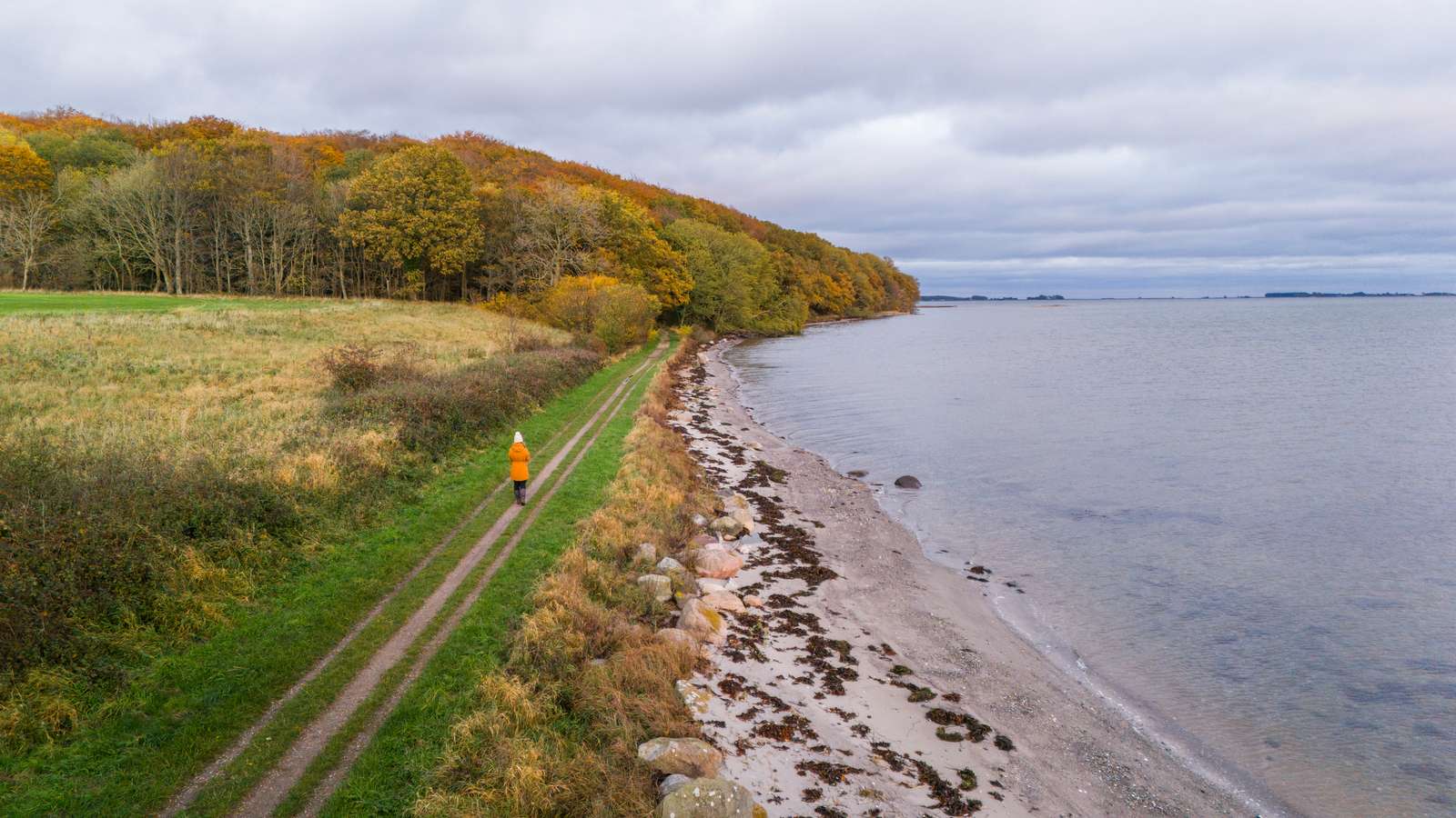 Efterår på Fjordminoen ved Husodde Strand